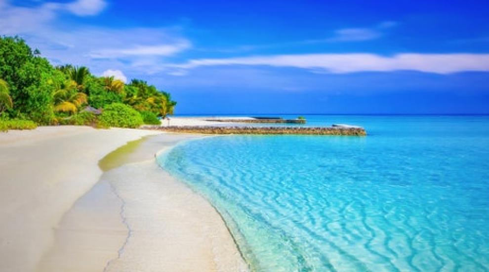 beach_exotic_holiday_248797.jpg