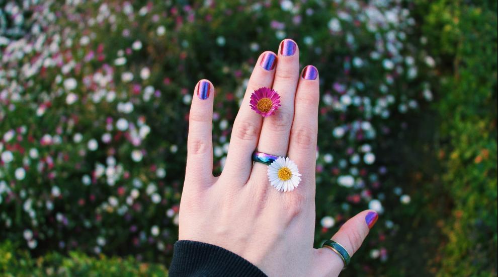 blur_close_up_daisies_2421035.jpg